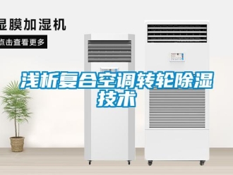行業(yè)新聞淺析復(fù)合空調(diào)轉(zhuǎn)輪除濕技術(shù)