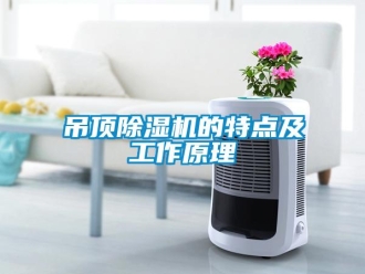 行業(yè)新聞吊頂除濕機的特點及工作原理