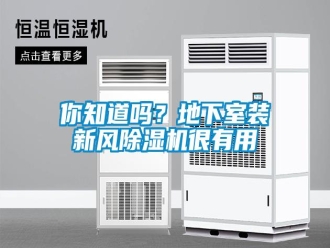 常見問題你知道嗎？地下室裝新風除濕機很有用