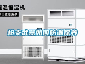 常見問題槍支武器如何防潮保養(yǎng)