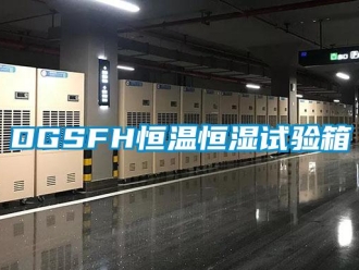 常見問題DGSFH恒溫恒濕試驗(yàn)箱