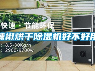 行業(yè)新聞辣椒烘干除濕機(jī)好不好用