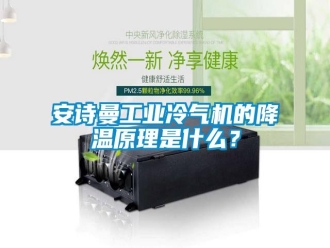企業(yè)新聞安詩(shī)曼工業(yè)冷氣機(jī)的降溫原理是什么？