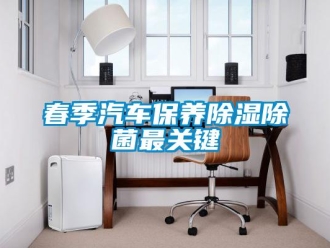 企業(yè)新聞春季汽車保養(yǎng)除濕除菌最關(guān)鍵