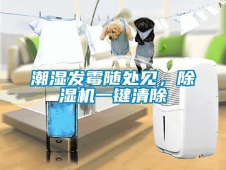 企業(yè)新聞潮濕發(fā)霉隨處見，除濕機一鍵清除