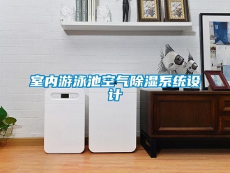 知識(shí)百科室內(nèi)游泳池空氣除濕系統(tǒng)設(shè)計(jì)