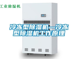 行業(yè)新聞冷凍型除濕機—冷凍型除濕機工作原理