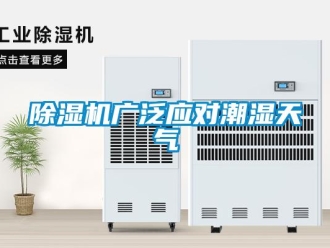 常見(jiàn)問(wèn)題除濕機(jī)廣泛應(yīng)對(duì)潮濕天氣