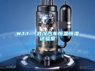 常見問題WTT  武漢汽車恒溫恒濕試驗(yàn)室
