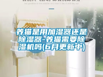行業(yè)新聞養(yǎng)貓是用加濕器還是除濕器-養(yǎng)貓需要除濕機(jī)嗎(6月更新中)