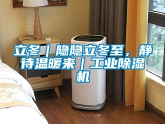 行業(yè)新聞立冬｜隱隱立冬至，靜待溫暖來(lái)｜工業(yè)除濕機(jī)