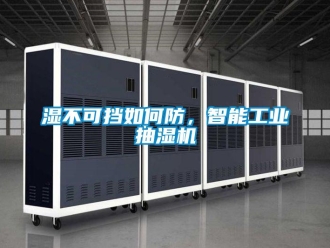 常見問題濕不可擋如何防，智能工業(yè)抽濕機(jī)