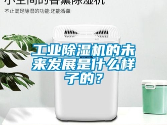 企業(yè)新聞工業(yè)除濕機的未來發(fā)展是什么樣子的？