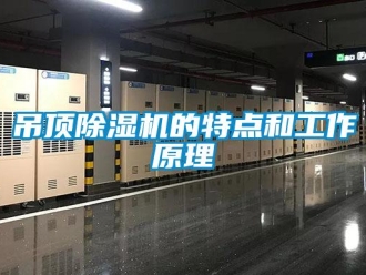 行業(yè)新聞吊頂除濕機的特點和工作原理