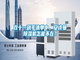 企業(yè)新聞雙十一剁手清單中，安詩(shī)曼除濕機(jī)怎能不在？