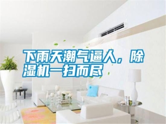 知識(shí)百科下雨天潮氣逼人，除濕機(jī)一掃而盡