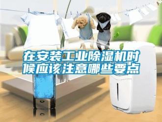 知識百科在安裝工業(yè)除濕機(jī)時候應(yīng)該注意哪些要點