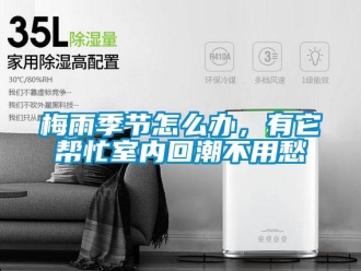 常見問題梅雨季節(jié)怎么辦，有它幫忙室內(nèi)回潮不用愁
