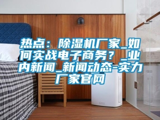 常見(jiàn)問(wèn)題熱點(diǎn)：除濕機(jī)廠家_如何實(shí)戰(zhàn)電子商務(wù)？_業(yè)內(nèi)新聞_新聞動(dòng)態(tài)-實(shí)力廠家官網(wǎng)
