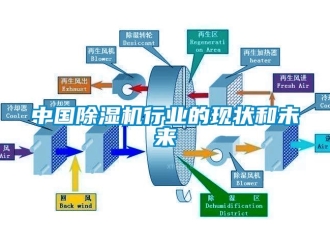 行業(yè)新聞中國除濕機(jī)行業(yè)的現(xiàn)狀和未來