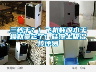 企業(yè)新聞三秒干？! 飛機(jī)杯吸水干燥就靠它了! 硅藻土吸濕棒評(píng)測(cè)