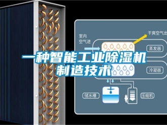 常見問題一種智能工業(yè)除濕機(jī)制造技術(shù)