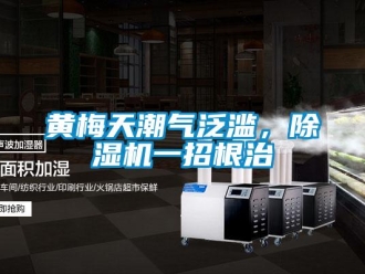 行業(yè)新聞黃梅天潮氣泛濫，除濕機(jī)一招根治