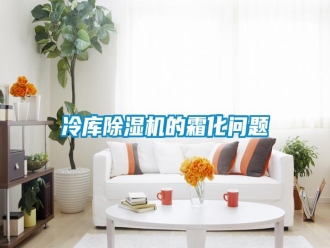 常見問題冷庫除濕機的霜化問題