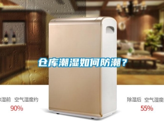 企業(yè)新聞倉(cāng)庫(kù)潮濕如何防潮？