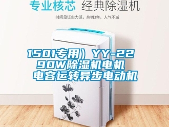企業(yè)新聞1501專用）YY-22  90W除濕機(jī)電機(jī)  電容運(yùn)轉(zhuǎn)異步電動(dòng)機(jī)