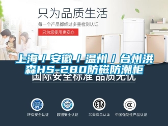 常見問(wèn)題上海／安徽／溫州／臺(tái)州洪森HS-280防磁防潮柜