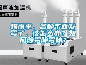 常見問題梅雨季，各種東西發(fā)霉了，該怎么辦？如何除霉除霉味？