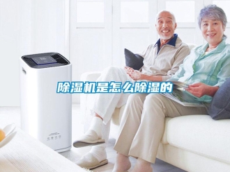 常見(jiàn)問(wèn)題除濕機(jī)是怎么除濕的