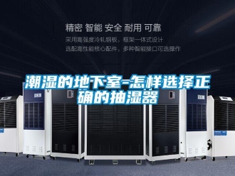常見(jiàn)問(wèn)題潮濕的地下室-怎樣選擇正確的抽濕器