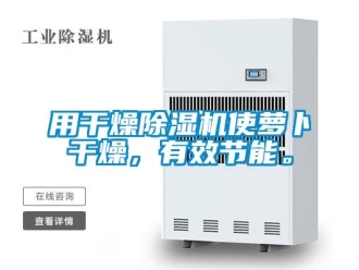 知識(shí)百科用干燥除濕機(jī)使蘿卜干燥，有效節(jié)能。