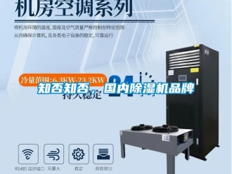 知識百科知否知否，國內(nèi)除濕機品牌
