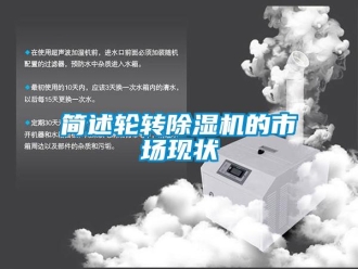 行業(yè)新聞簡述輪轉(zhuǎn)除濕機的市場現(xiàn)狀