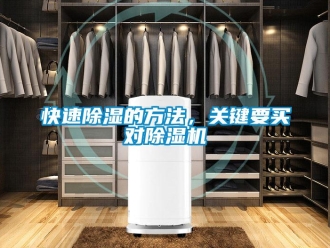行業(yè)新聞快速除濕的方法，關(guān)鍵要買對(duì)除濕機(jī)