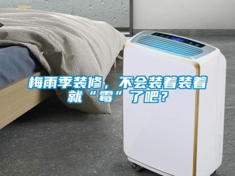行業(yè)新聞梅雨季裝修，不會(huì)裝著裝著就“霉”了吧？