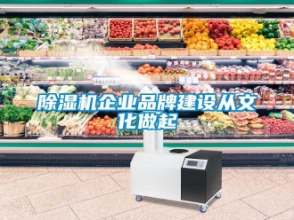 常見問題除濕機企業(yè)品牌建設從文化做起