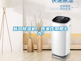 知識(shí)百科新風(fēng)除濕機(jī)，原來(lái)作用那么大！