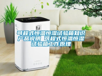 知識百科可程式恒溫恒濕試驗箱知識產(chǎn)品說明 可程式恒溫恒濕試驗箱工作原理