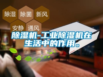 常見問題除濕機-工業(yè)除濕機在生活中的作用。