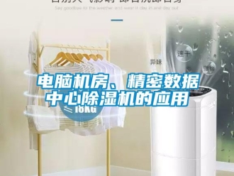 企業(yè)新聞電腦機(jī)房、精密數(shù)據(jù)中心除濕機(jī)的應(yīng)用