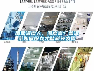 常見問題雨季濕度大、溫度高！普洱茶如何保存才能避免發(fā)霉