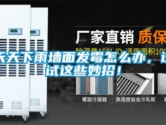 常見問題天天下雨墻面發(fā)霉怎么辦，試試這些妙招！