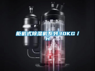 行業(yè)新聞柜機式除濕機系列30KG／H