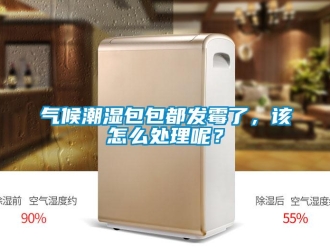 常見(jiàn)問(wèn)題氣候潮濕包包都發(fā)霉了，該怎么處理呢？