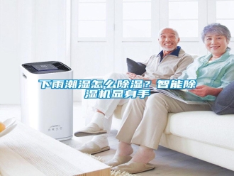 常見(jiàn)問(wèn)題下雨潮濕怎么除濕？智能除濕機(jī)顯身手