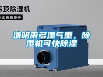 行業(yè)新聞清明雨多濕氣重，除濕機可快除濕